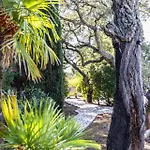 Reninca - Côte D'azur Saint-Tropez